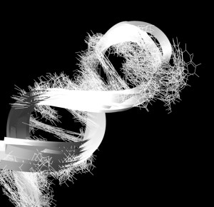 2_Blog_Feb1-2013_image